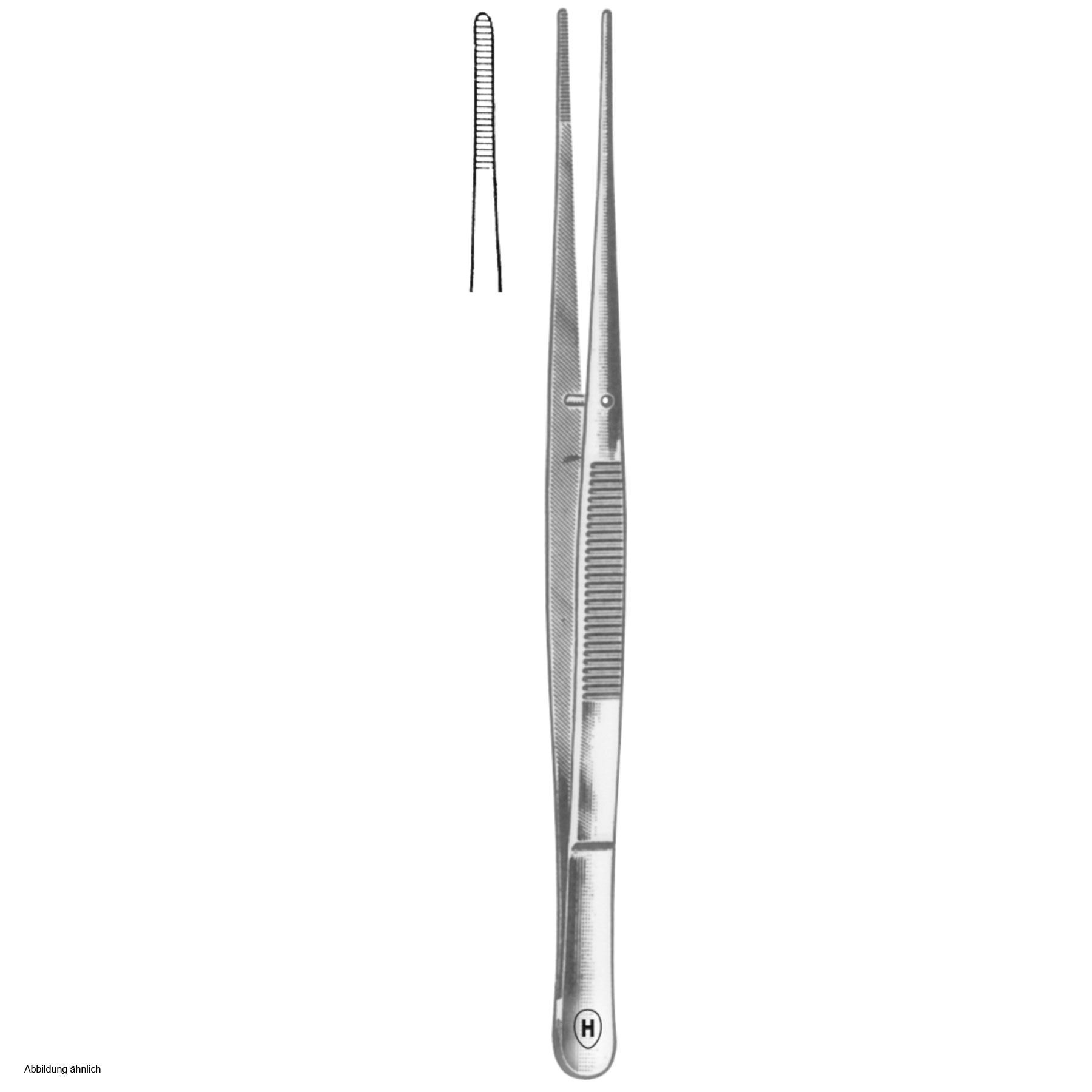 Hammacher Specimen seizing forceps