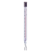 Thermomètre minimum de précision Ludwig Schneider