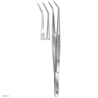 Hammacher Staining forceps, curved