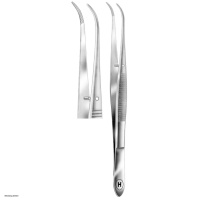 Hammacher Staining forceps, curved
