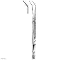 Hammacher Staining forceps with spring catch