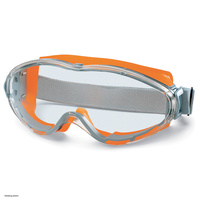 BÜRKLE Ultravision safety goggles
